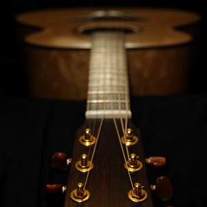 欧美午夜在线观看
